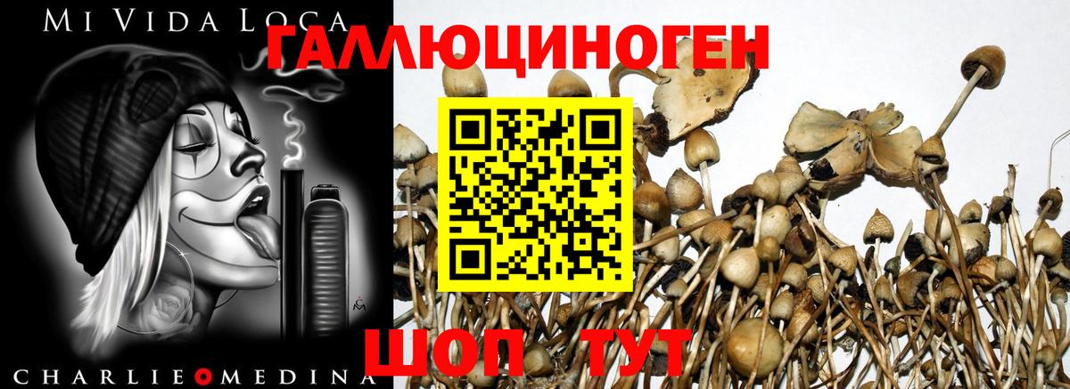 Галлюциногенные грибы прущие грибы  Галлюциногенные грибы Magic Shrooms  купить закладку  Лабытнанги  Вход с VPN 